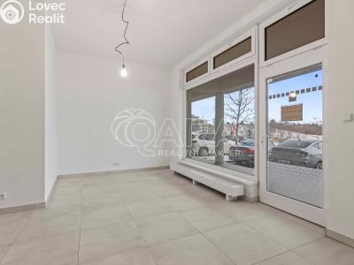 Pronájem obchodního prostoru Praha, U Hostavického potoka č. 1