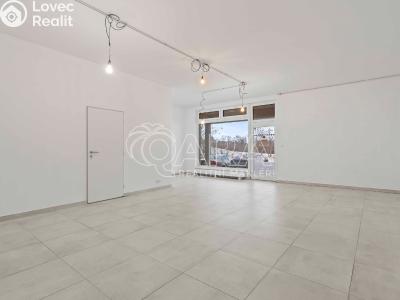 Pronájem obchodního prostoru Praha, U Hostavického potoka č. 3