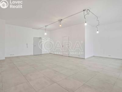 Оренда торгового приміщення Praha, U Hostavického potoka č. 5