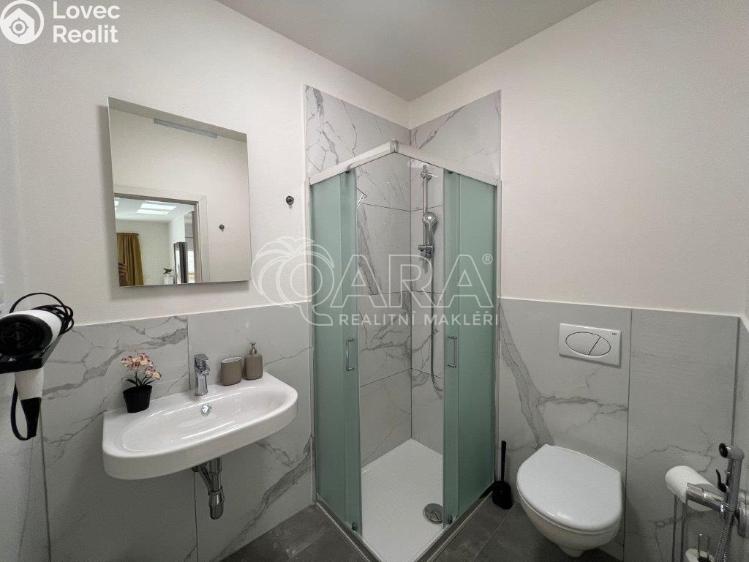 Аренда квартиры 1+KK Praha, Plzeňská č. 4