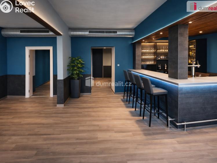 Pronájem komerční nemovitosti Praha 5, Radlická č. 7