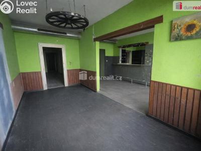 Pronájem komerční nemovitosti Praha 5, Radlická č. 5