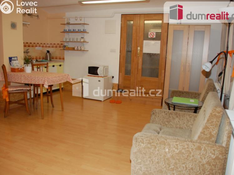 Pronájem bytu 1+KK Břeclav, Nerudova č. 4
