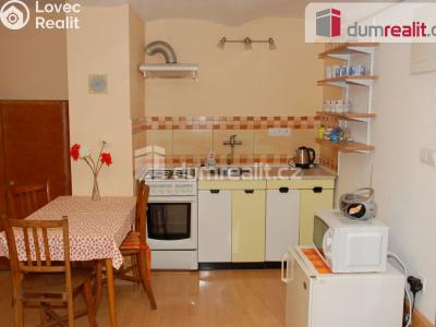 Pronájem bytu 1+KK Břeclav, Nerudova č. 3