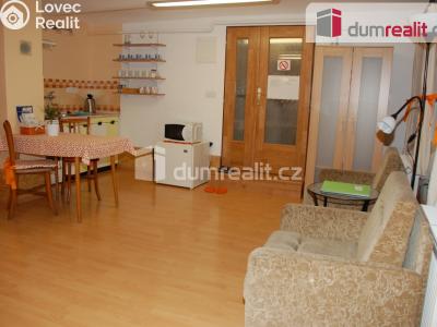 Pronájem bytu 1+KK Břeclav, Nerudova č. 4