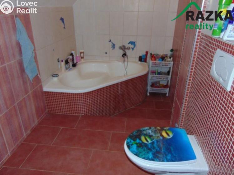 Prodej rodinného domu Velké Březno, Pod Lesem č. 5