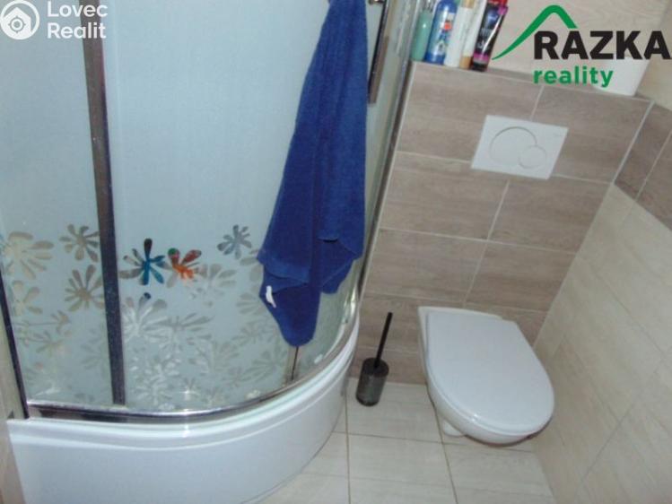 Prodej rodinného domu Velké Březno, Pod Lesem č. 8