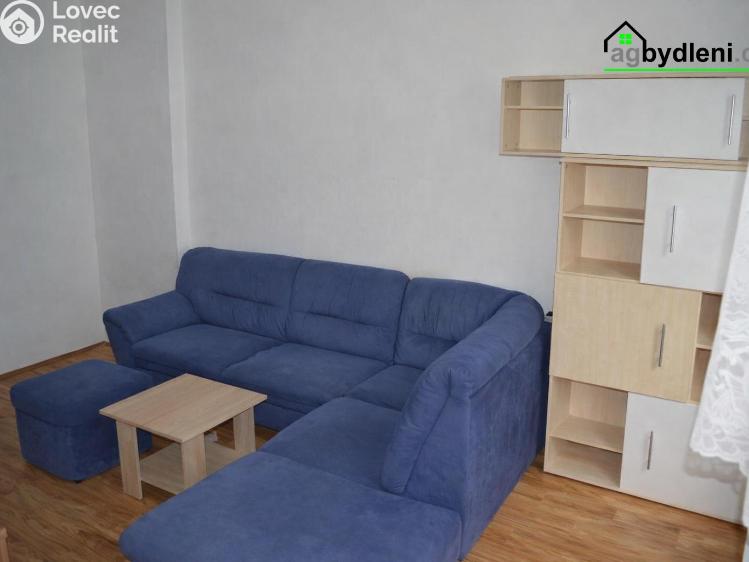Rent apartment 1+1 Habartov, Mírová 36 č. 4
