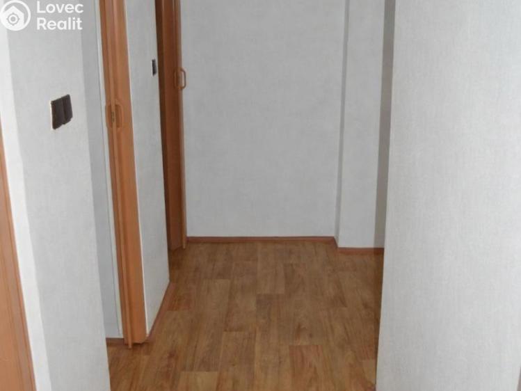 Rent apartment 1+1 Habartov, Mírová 36 č. 6