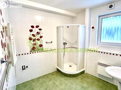 Pronájem bytu 2+KK Podkopná Lhota č. 5