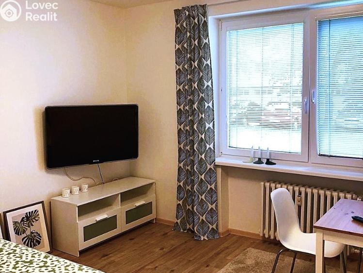 Pronájem bytu 1+KK Velká nad Veličkou č. 3