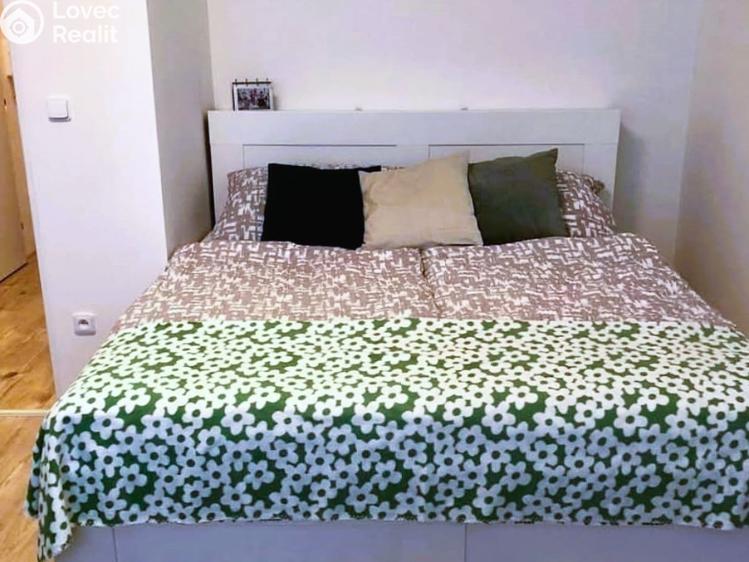 Pronájem bytu 1+KK Velká nad Veličkou č. 4