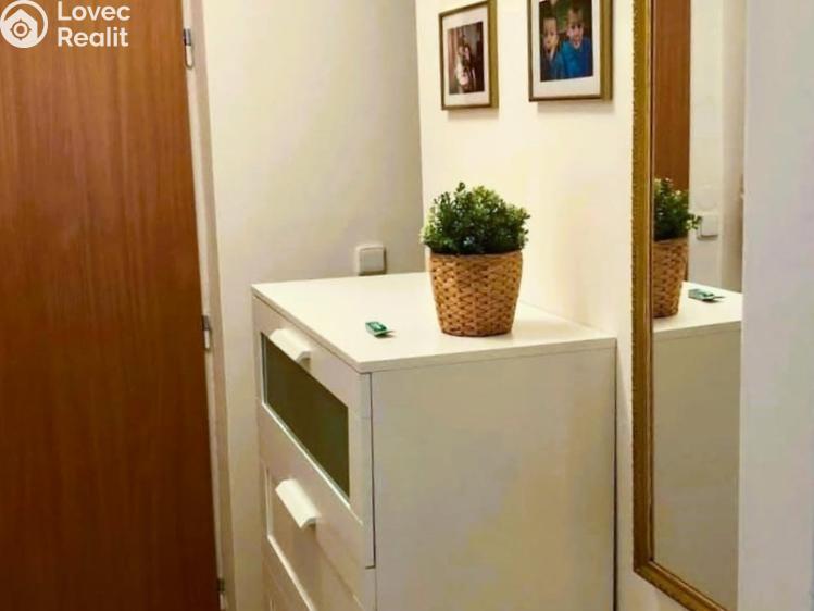 Pronájem bytu 1+KK Velká nad Veličkou č. 7