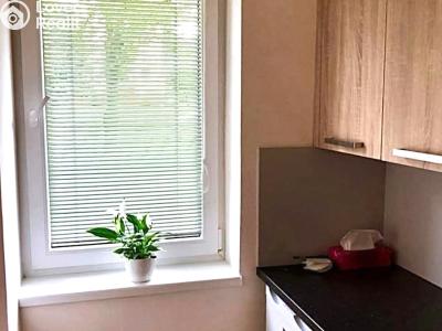 Pronájem bytu 1+KK Velká nad Veličkou č. 6