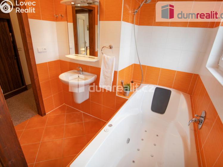 Prodej ubytovacího zařízení Horní Planá č. 21