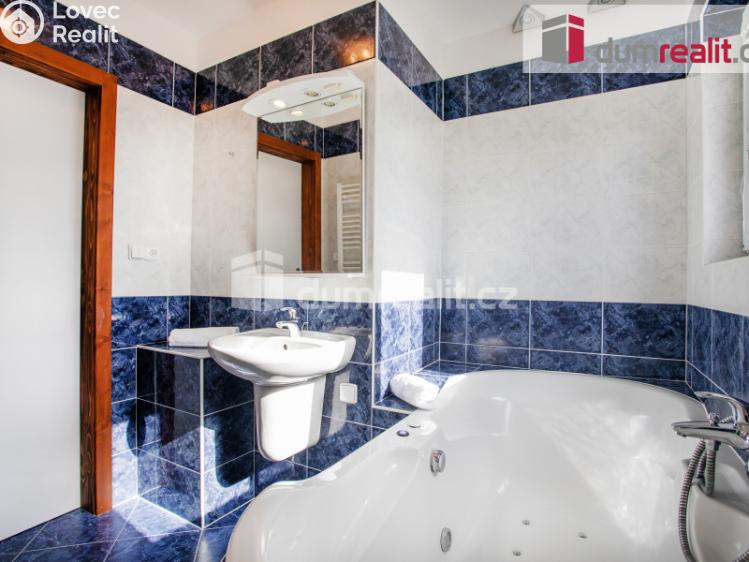 Prodej ubytovacího zařízení Horní Planá č. 24