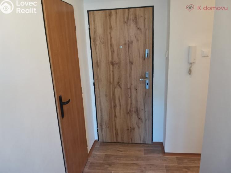 Pronájem bytu 1+1 Olomouc, Zahradní 573/5 č. 13