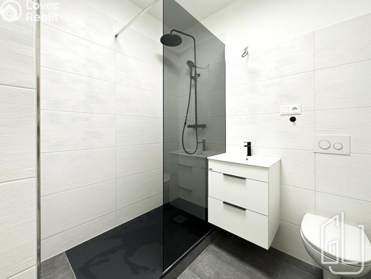 Rent apartment 1+1 Praha, Víta Nejedlého č. 3