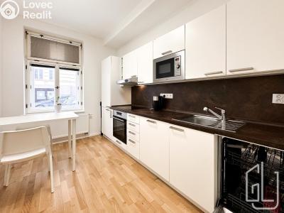 Rent apartment 1+1 Praha, Víta Nejedlého č. 1