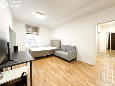 Rent apartment 1+1 Praha, Víta Nejedlého č. 2