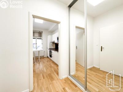 Rent apartment 1+1 Praha, Víta Nejedlého č. 5