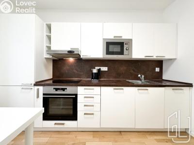 Rent apartment 1+1 Praha, Víta Nejedlého č. 6