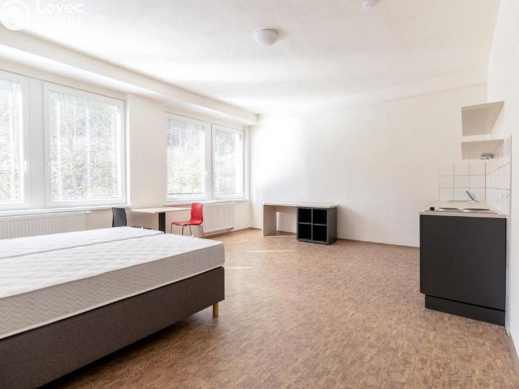 Pronájem bytu 1+KK Praha, Křížová č. 2