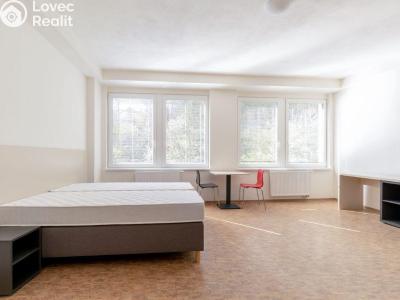 Pronájem bytu 1+KK Praha, Křížová č. 6