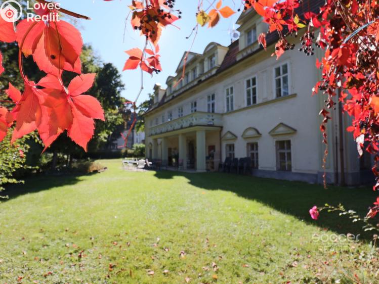 Rent office space Praha, Na Zátorce č. 2