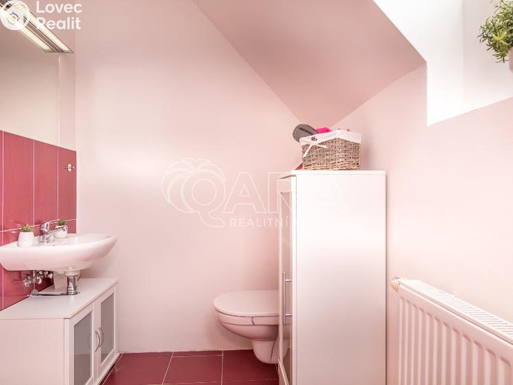 Продаж сімейного будинку Přílepy č. 22