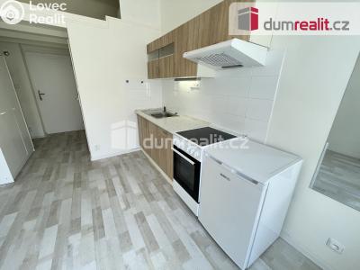 Pronájem bytu 1+KK Praha 5, Kmochova č. 6