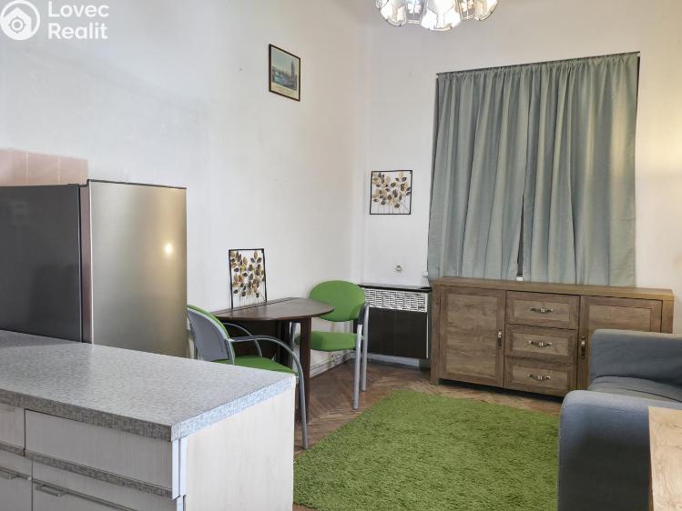 Pronájem bytu 1+KK Praha, Družstevní č. 1