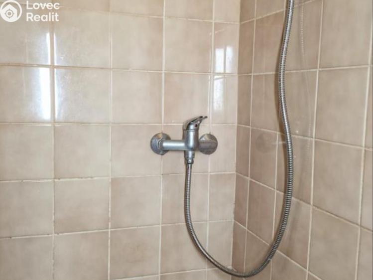 Pronájem bytu 1+KK Praha, Družstevní č. 2