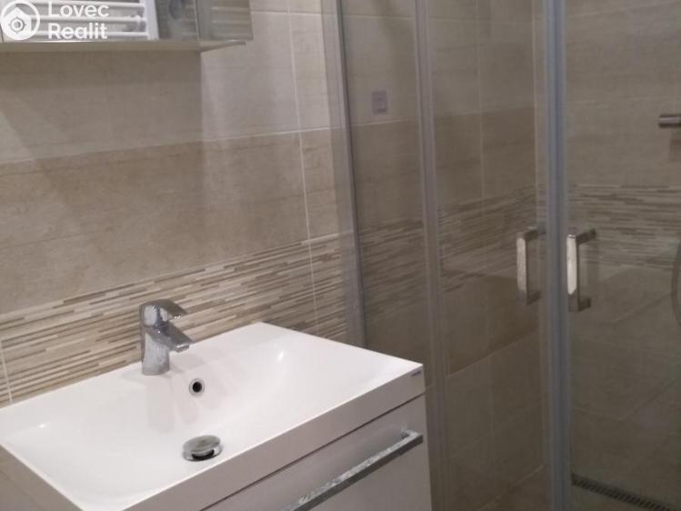 Pronájem bytu 5+KK Přelouč č. 9