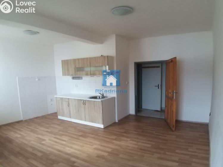 Pronájem bytu 1+KK Plzeň, Zámečnická č. 2