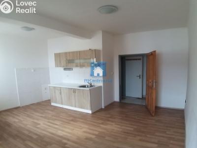 Pronájem bytu 1+KK Plzeň, Zámečnická č. 2