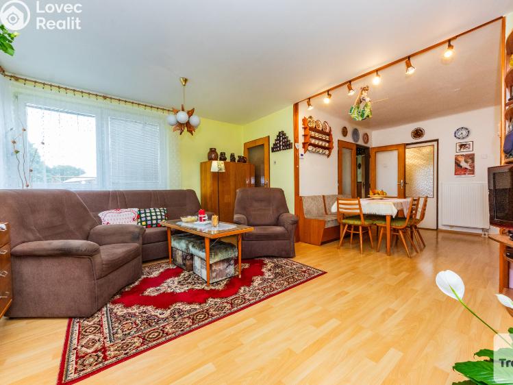 Продаж сімейного будинку Vitice č. 6