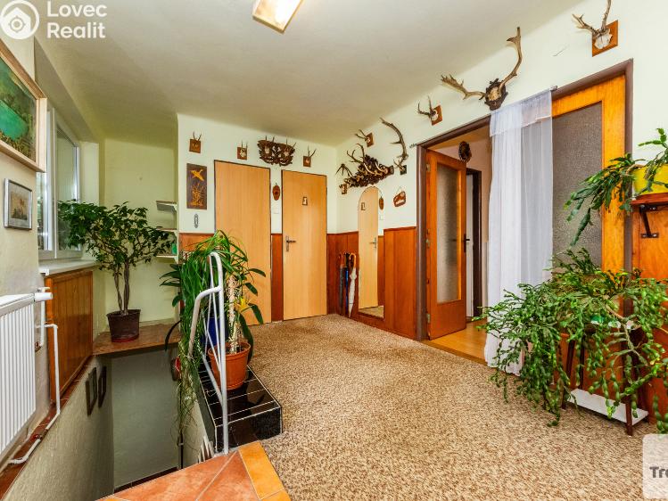 Продаж сімейного будинку Vitice č. 15