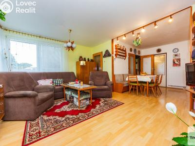 Продажа семейного дома Vitice č. 5