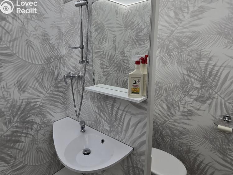 Pronájem bytu 2+KK Roudnice nad Labem č. 5