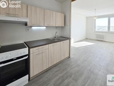 Pronájem bytu 2+KK Roudnice nad Labem č. 1