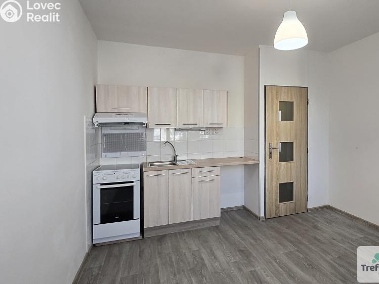 Pronájem bytu 1+1 Roudnice nad Labem č. 2