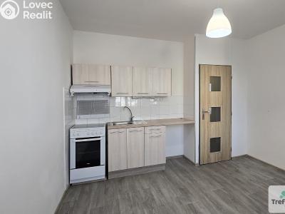 Pronájem bytu 1+1 Roudnice nad Labem č. 2