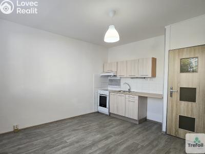 Pronájem bytu 1+1 Roudnice nad Labem č. 3