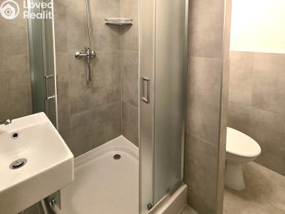 Pronájem bytu 1+1 Roudnice nad Labem č. 4
