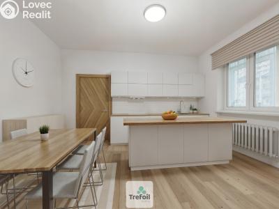 Prodej bytu 2+1 Lomnice nad Popelkou č. 4