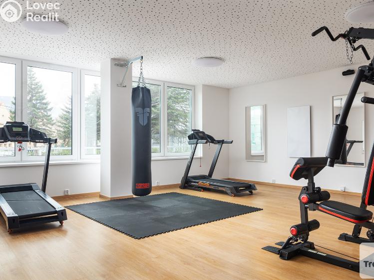 Sale apartment 1+KK Trmice č. 8