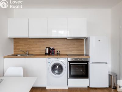 Sale apartment 1+KK Trmice č. 6