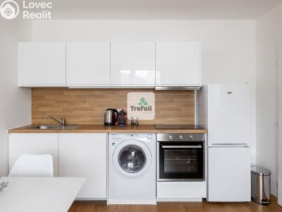 Prodej bytu 1+KK Trmice č. 6