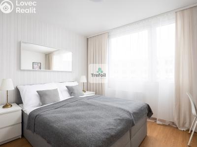 Продаж квартири 1+KK Trmice č. 5